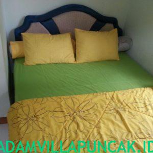 villa puncak 4 kamar kolam renang pribadi