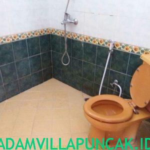 villa tri puncak 7 kamar