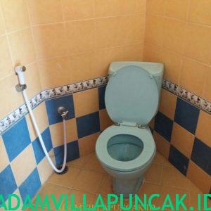 villa tri puncak 7 kamar