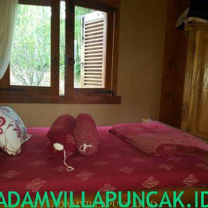 IMG-20171114-WA0031