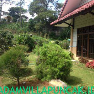 IMG-20190416-WA0203