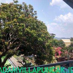 IMG-20190426-WA0034
