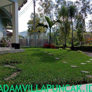 Villa Minimalis 6 Kamar Kolam Renang Pribadi