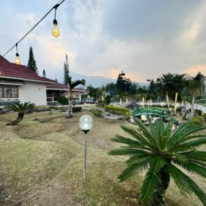 IMG-20240731-WA0019