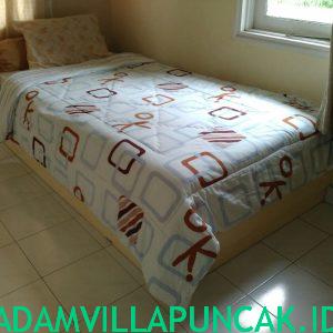 villa puncak untuk 30 orang