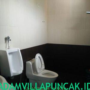 sewa villa di puncak ada kolam renang