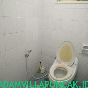 sewa villa di puncak ada kolam renang