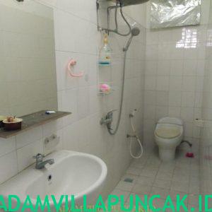 sewa villa di puncak ada kolam renang