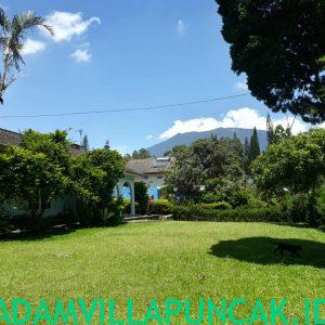 IMG-20181001-WA0134