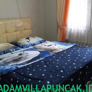 IMG-20190420-WA0038