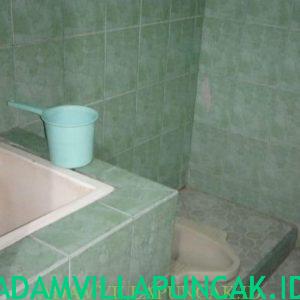 villa dekat taman bunga nusantara kolam renang pribadi