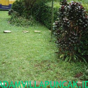 villa dekat taman bunga nusantara kolam renang pribadi