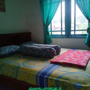 Villa Hijau Puncak 5 Kamar Fasilitas Kolam Renang, Karaoke & Billiard