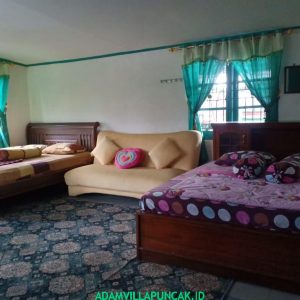Villa Hijau Puncak 5 Kamar Fasilitas Kolam Renang, Karaoke & Billiard