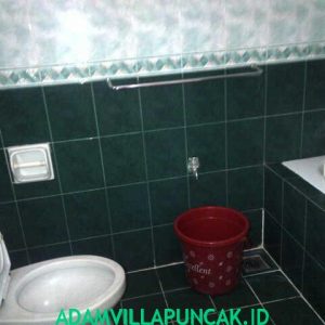 Alternatif Villa Murah Di Puncak Kolam Renang
