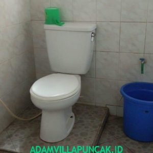 villa ciloto 5 kamar Kolam Renang Pribadi Karaoke