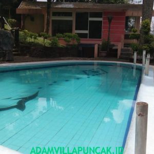 villa ciloto 5 kamar Kolam Renang Pribadi Karaoke