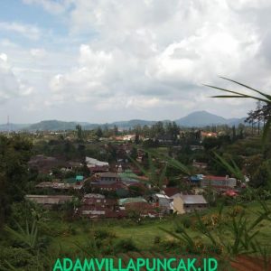 villa ciloto 5 kamar Kolam Renang Pribadi Karaoke