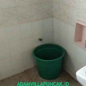 villa ciloto 5 kamar Kolam Renang Pribadi Karaoke