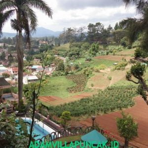 villa ciloto 5 kamar Kolam Renang Pribadi Karaoke