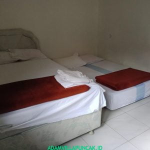 IMG-20181217-WA0233
