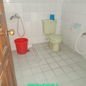 IMG-20181217-WA0236