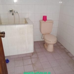 IMG-20181217-WA0241