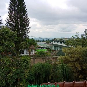 IMG-20181217-WA0246