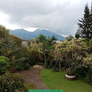 IMG-20181217-WA0252