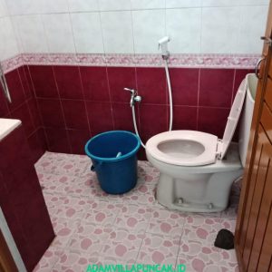 Villa Hijau Cipanas 3 Kamar Private Pool & Billiard