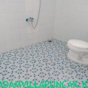 villa dn puncak 6 kamar kolam renang pribadi