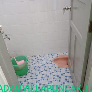 villa dn puncak 6 kamar kolam renang pribadi