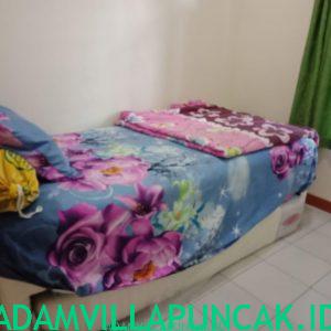villa dn puncak 6 kamar kolam renang pribadi