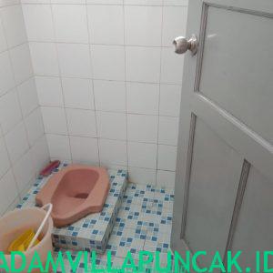 villa dn puncak 6 kamar kolam renang pribadi