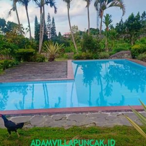 Villa Coolibah Klasik 5 Kamar, Private Pool, Lapang Tenis & View Bagus