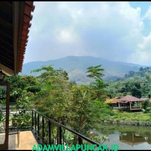 Villa Puncak 4 Kamar Kolam Renang, Aula & Karaoke