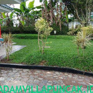 villa geulis puncak kolam renang pribadi