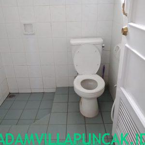 villa geulis puncak kolam renang pribadi