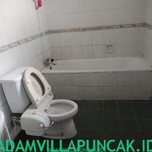 villa geulis puncak kolam renang pribadi