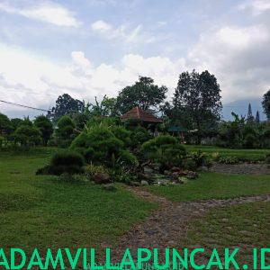 villa mewah di puncak