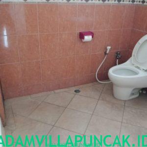 villa mewah di puncak