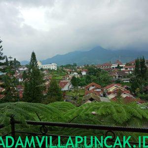 villa mewah di puncak