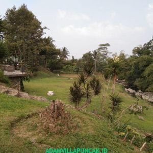 Villa Jeprah Puncak Kolam Renang, Karaoke, Billiard