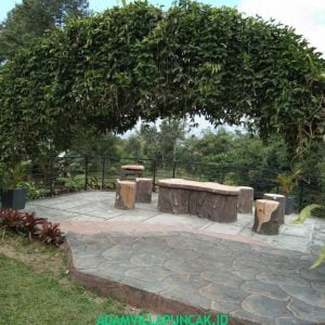 Villa Jeprah Puncak Kolam Renang, Karaoke, Billiard
