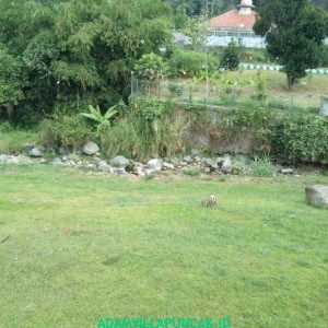 Villa Jeprah Puncak Kolam Renang, Karaoke, Billiard