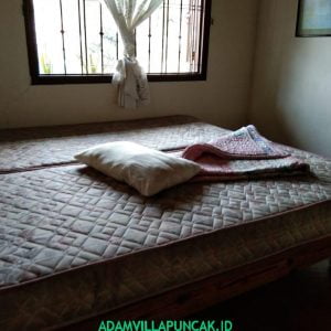 Villa Jeprah Puncak Kolam Renang, Karaoke, Billiard