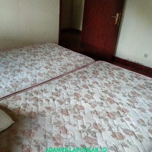 Villa Jeprah Puncak Kolam Renang, Karaoke, Billiard