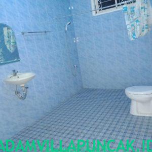 Sewa Villa Di Puncak Ada Kolam Renang