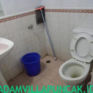Sewa Villa Di Puncak Ada Kolam Renang
