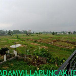 Sewa Villa Di Puncak Ada Kolam Renang